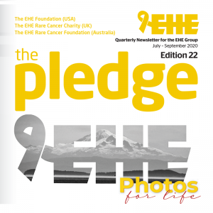 The Pledge Q3