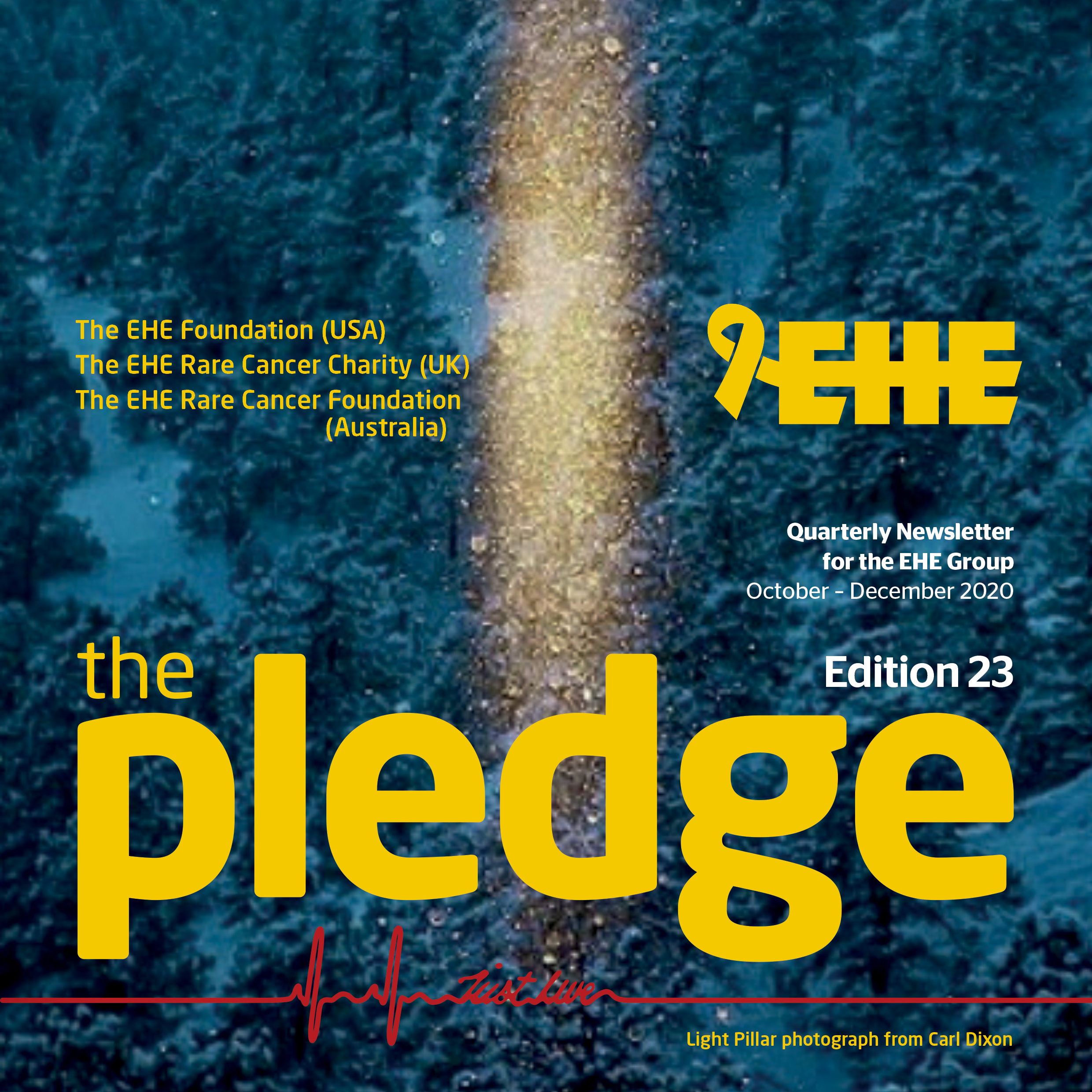 The Pledge Q4 2020
