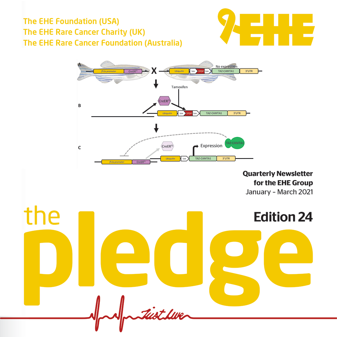 The Pledge: Edition 24, Q1 - Jan-Mar 2021