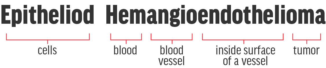 EHE word breakdown