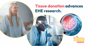 Tissue donation through the EHE Biobank
